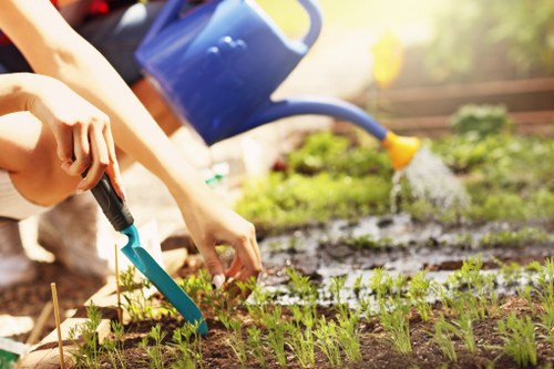 Garden tools and clipboard representing policy