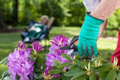 Gardener inspecting a garden plan