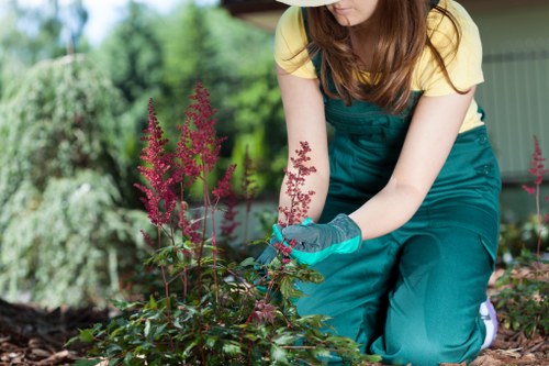 Inspector assessing lawn and hedges after complaint