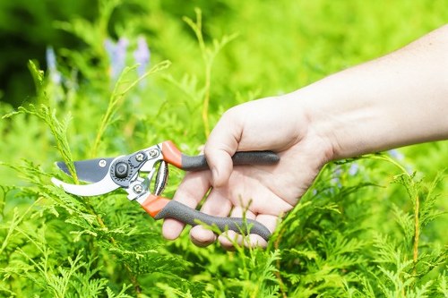 A close-up view of a person's hand holding a pair of garden pruning shears with red and black handles, actively trimming a green fern in a well-maintained outdoor garden. The garden features lush, dense foliage with a variety of plants, including tall green grass, shrubs, and leafy bushes. In the background, there are mature trees and a softly blurred grassy area, suggesting a spacious backyard or landscaped garden in Hounslow. The weather appears to be clear with natural daylight illuminating the scene, highlighting the vibrant greens and earthy tones of the garden surfaces. The scene exemplifies outdoor maintenance work typical of professional gardening services in the area, emphasizing precision pruning and care for garden plants and foliage.